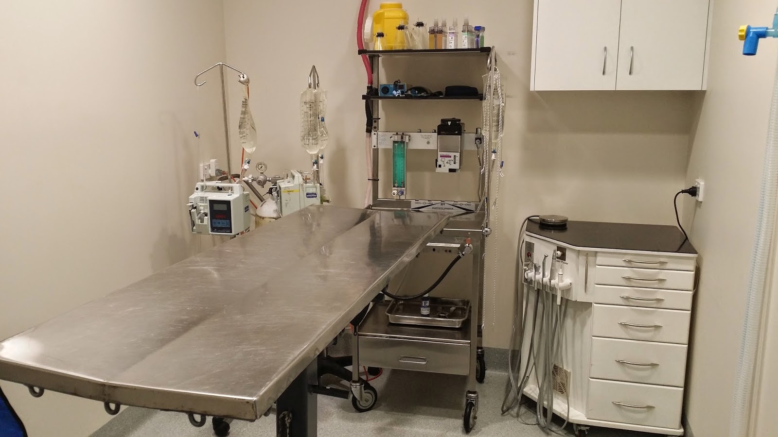 Woolgoolga Vet Clinic - Woolgoolga , Australia