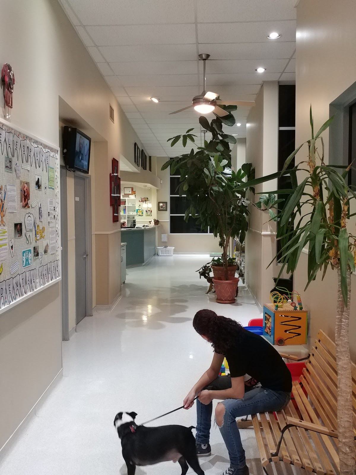 Vca Jones Road Animal Hospital - Houston , United States