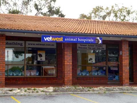 Vetwest Animal Hospitals Carine - Duncraig , Australia