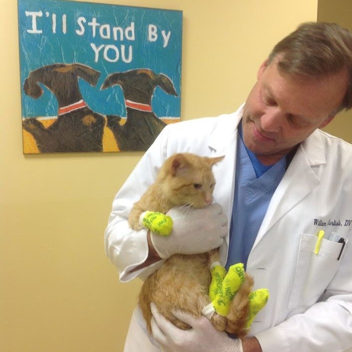 Kenosha Animal Hospital - Kenosha , United States
