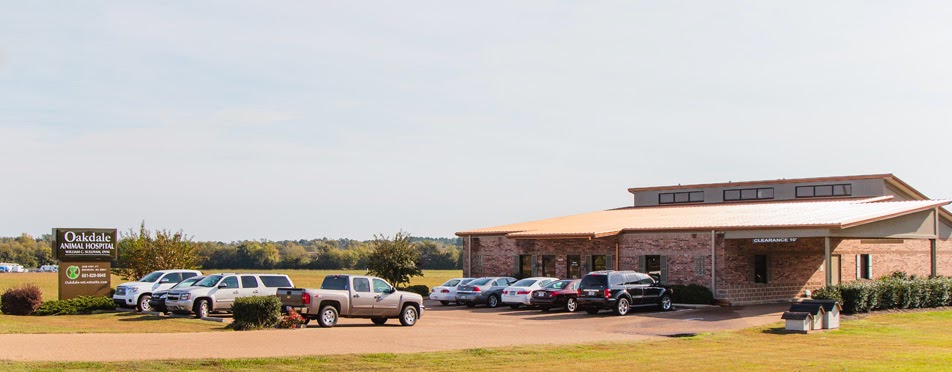 Oakdale Animal Hospital - Brandon , United States