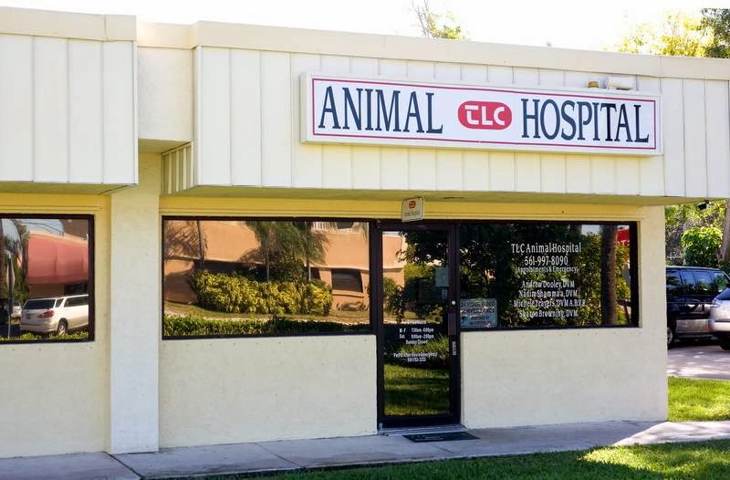 Tlc Animal Hospital - Boca Raton , United States