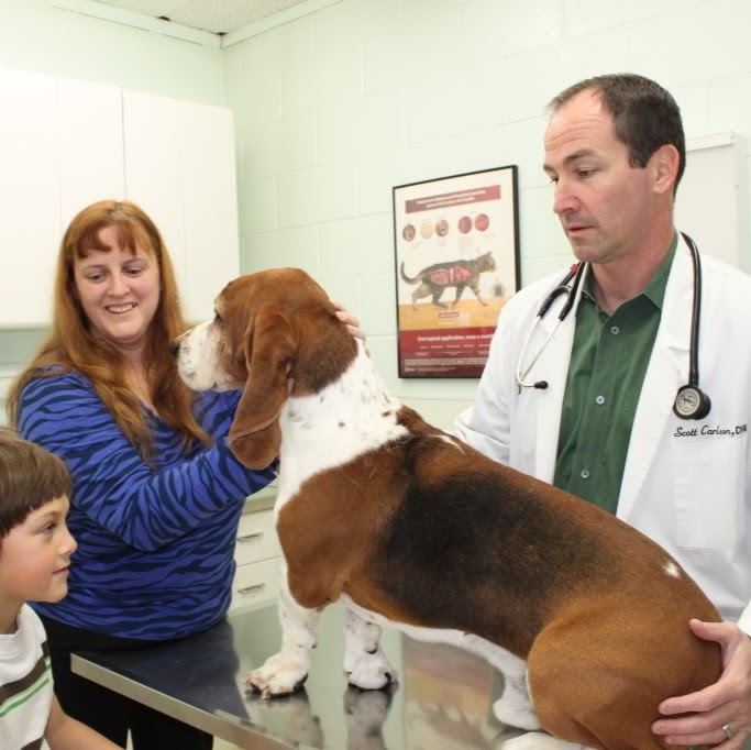 Hickman Mills Animal Hospital - Kansas City , United States