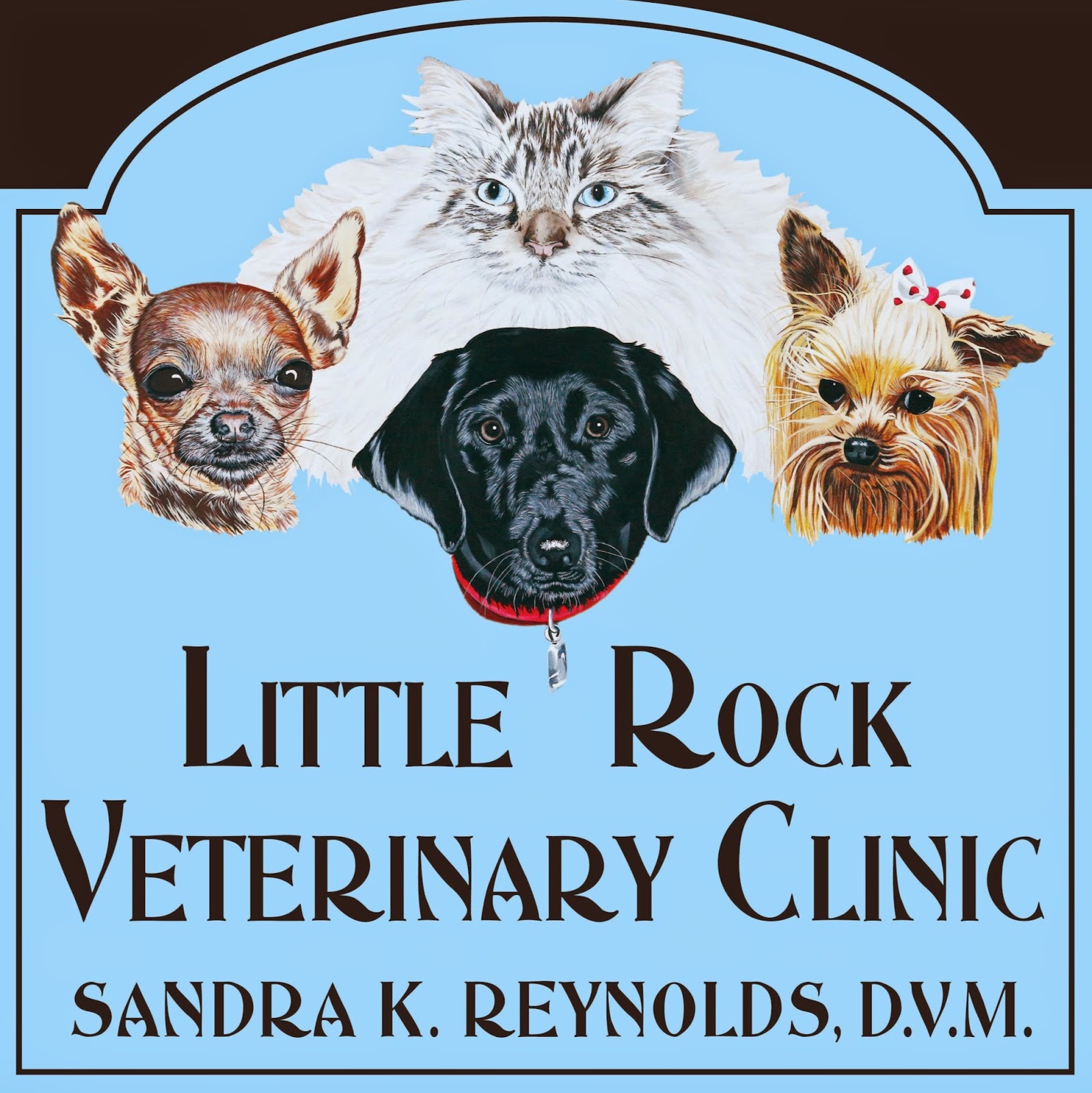 Little Rock Veterinary Clinic - Little Rock , United States
