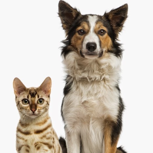 Center For Animal Health - Wauwatosa , United States