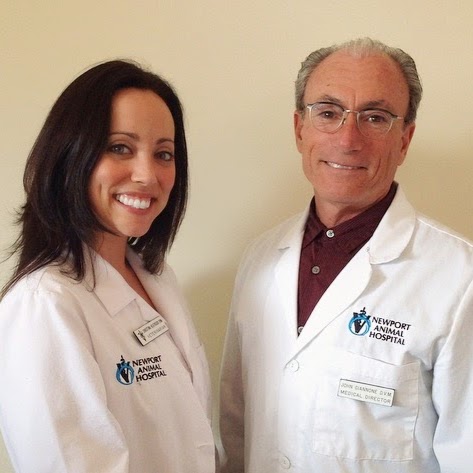 Newport Animal Hospital - Newport Beach , United States
