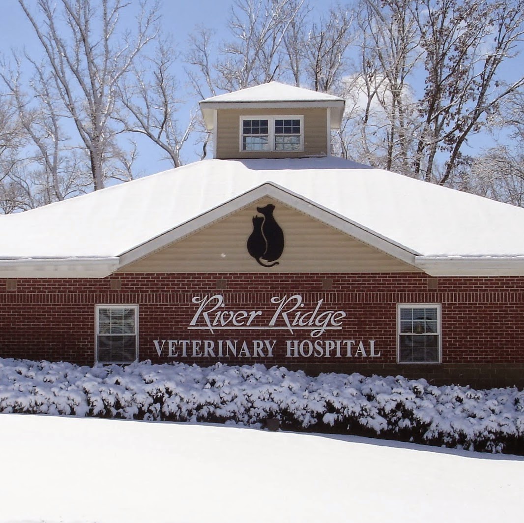 River Ridge Veterinary Hospital - Clemmons , United States