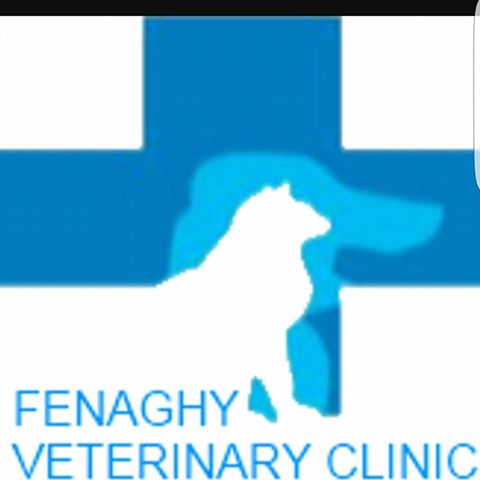 Fenaghy Veterinary Clinic - Ballymena , United Kingdom