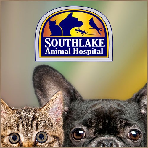 Southlake Animal Hospital Pc - Merrillville , United States