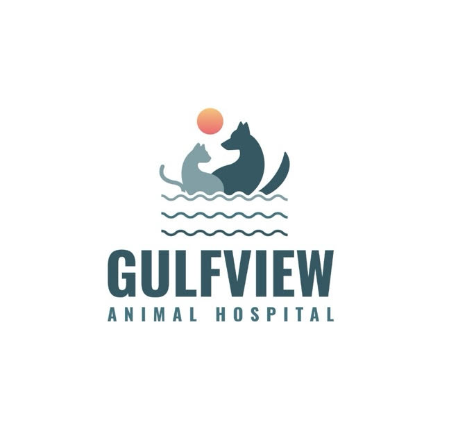 Gulfview Animal Hospital - Port Richey , United States