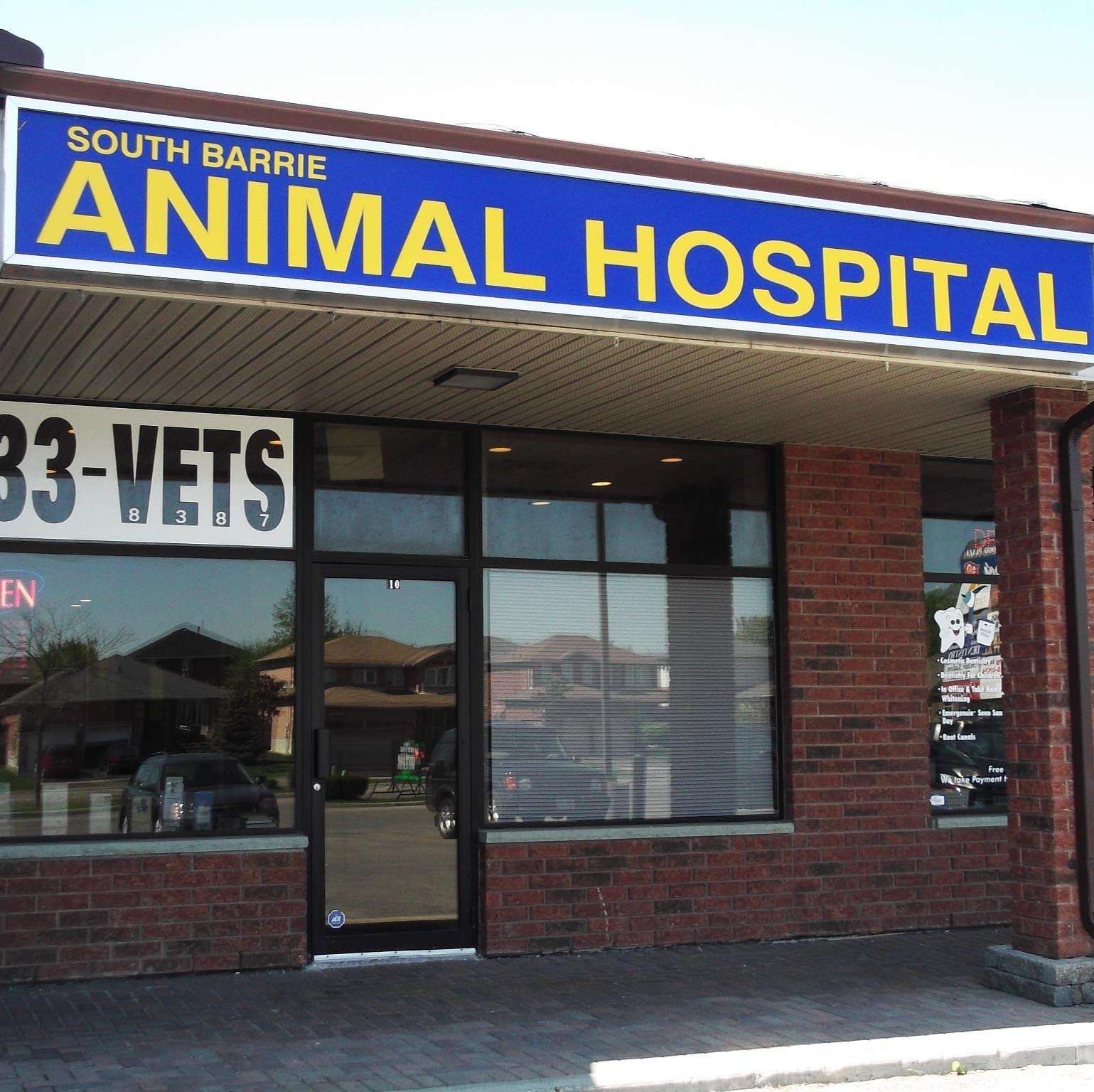 South Barrie Animal Hospital - Barrie , Canada