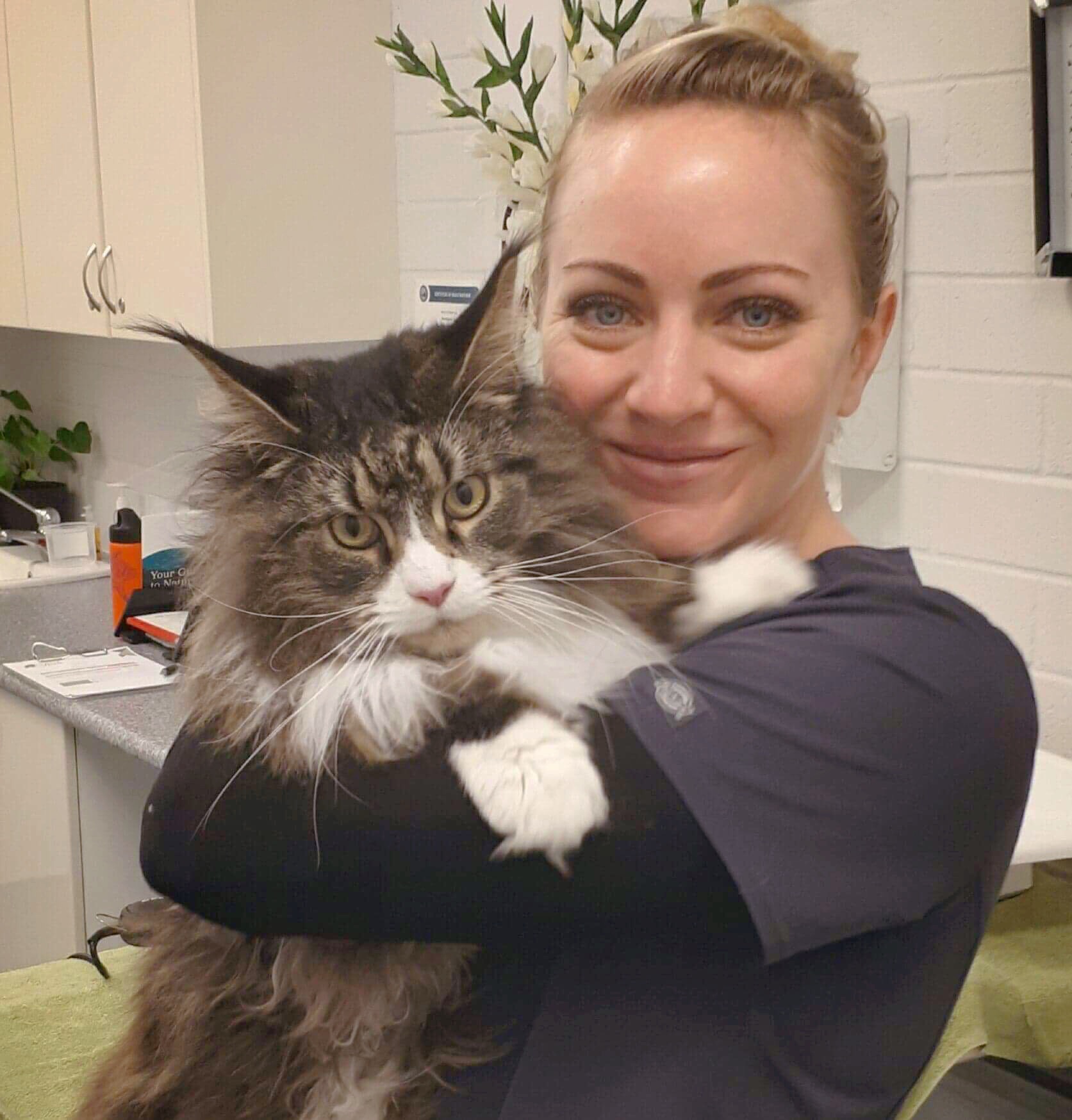 Sage Vets Booragoon & Cat Hotel - Booragoon , Australia