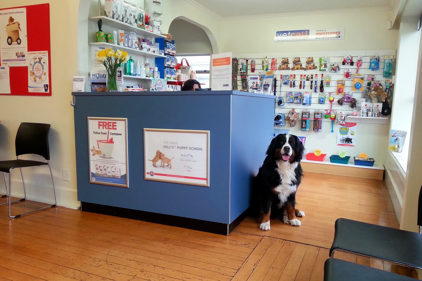 Vetcall Animal Hospital - Christchurch , New Zealand