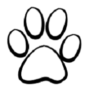 Acorn Veterinary Centre Studley - Studley , United Kingdom