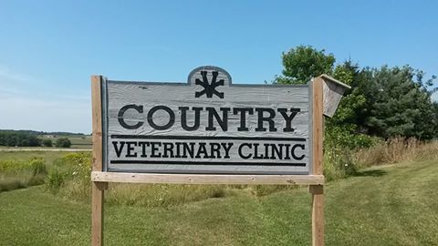 Country Veterinary Clinic - Rubicon , United States
