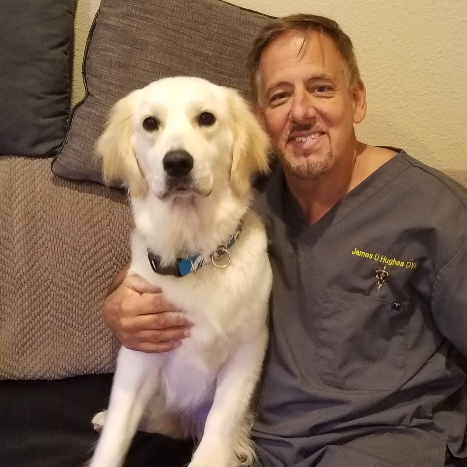 Vetria Pet Wellness And Surgery Center - Lutz , United States