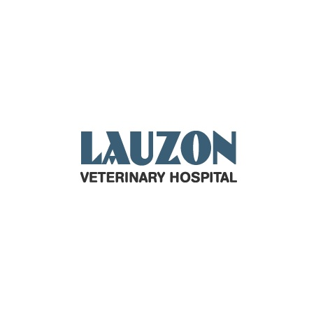 Lauzon Veterinary Hospital - Windsor , Canada
