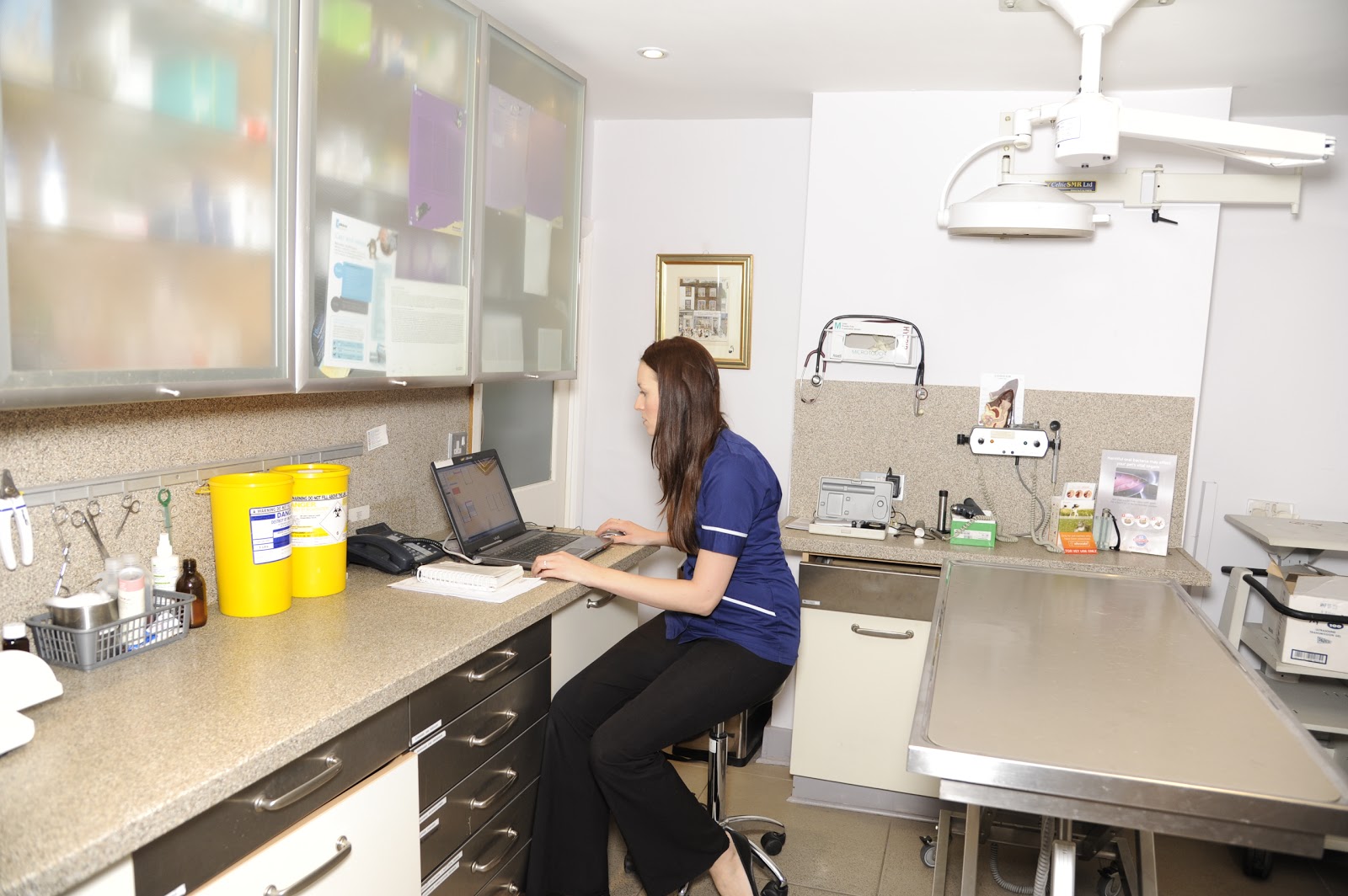 Village Vet Chiswick - London , United Kingdom