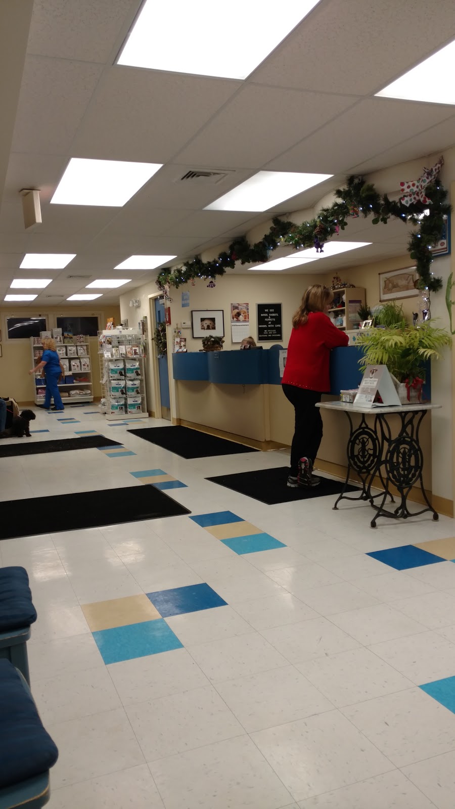Orchard Village Animal Clinic A Thrive Pet Healthcare Partner - Derry , United States
