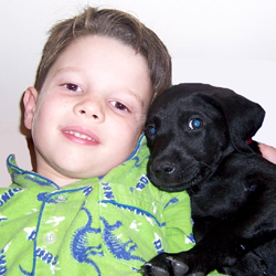 Joondalup Central Veterinary Hospital - Joondalup Vet - Joondalup , Australia
