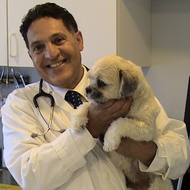 All Pets Vet Hospital - Branchburg , United States