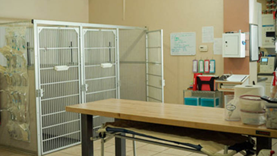 Abq Pet Care Hospital - Albuquerque , United States
