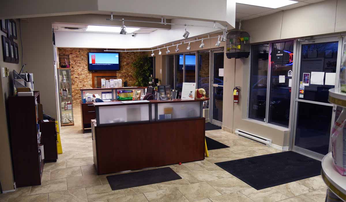 Blackburn Animal Hospital Professional - Gloucester , Canada