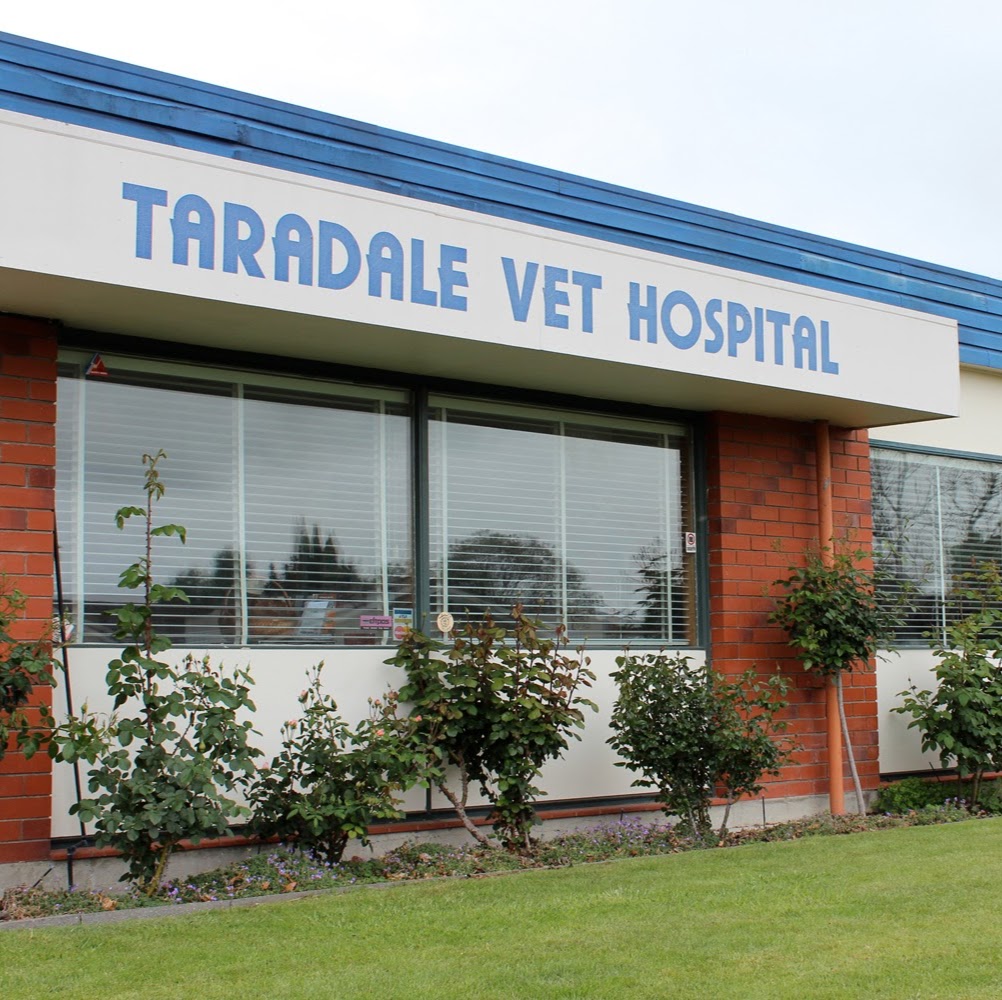 Taradale Veterinary Hospital - Greenmeadows , New Zealand
