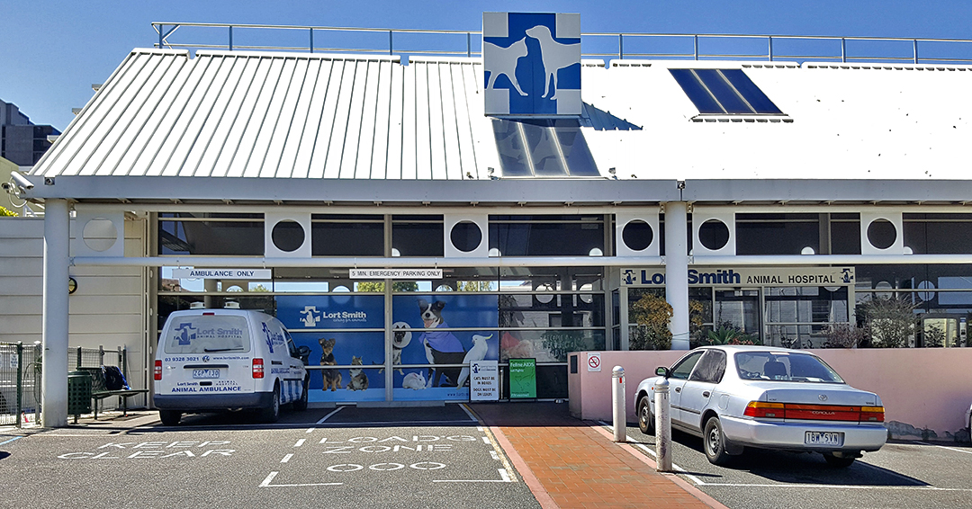 Lort Smith Animal Hospital - North Melbourne , Australia