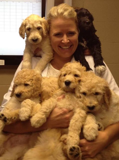 Sierra View Animal Hospital - Fresno , United States
