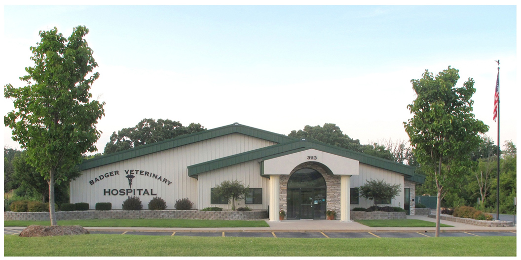 Badger Veterinary Hospital Janesville - Janesville , United States