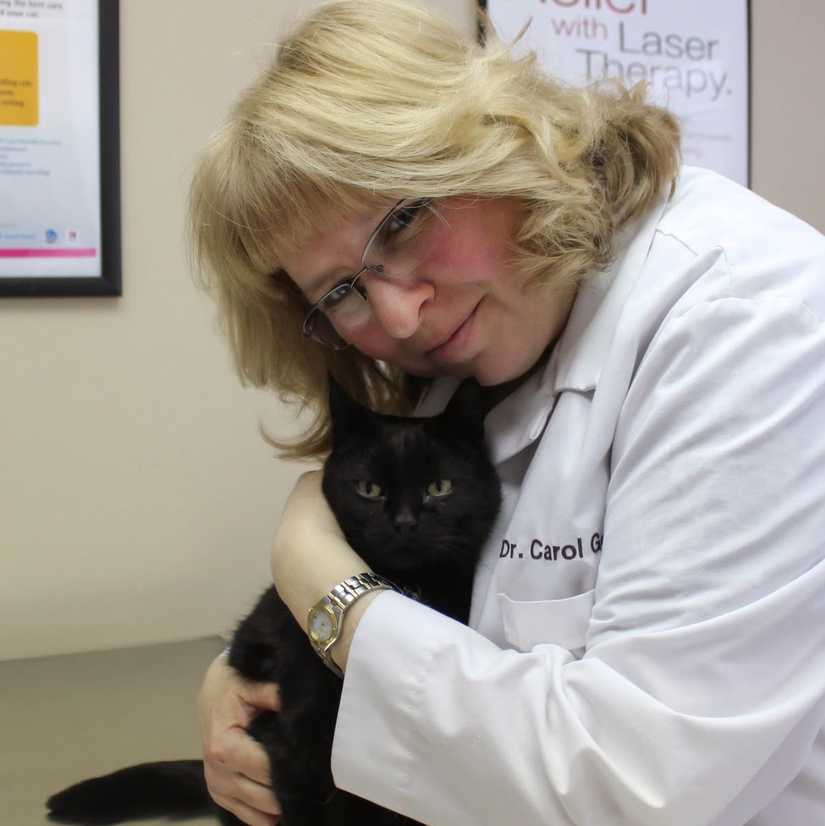 Rockford Animal Hospital - Rockford , United States