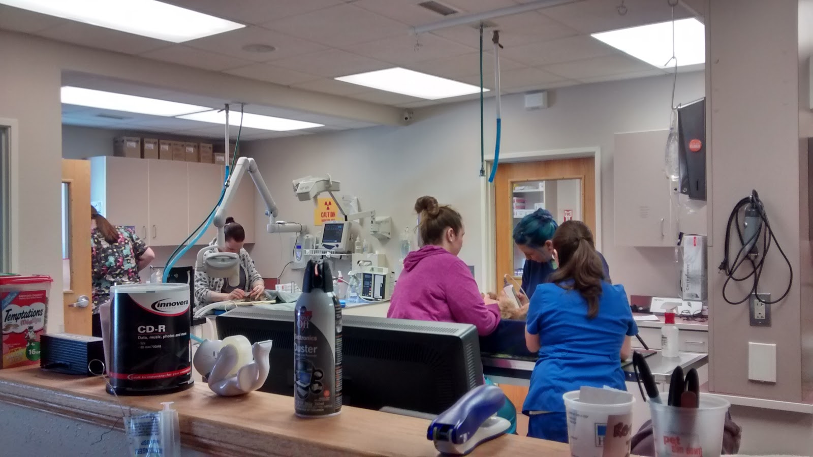 Community Animal Hospital - Shrewsbury , United States
