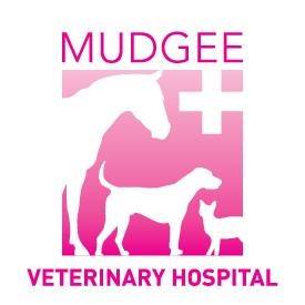 Rylstone Veterinary Surgery - Rylstone , Australia