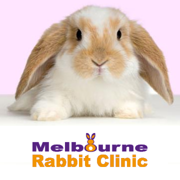 The Unusual Pet Vets Ferntree Gully - Ferntree Gully , Australia