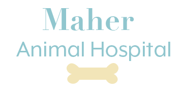 Maher Animal Hospital - Covington , United States