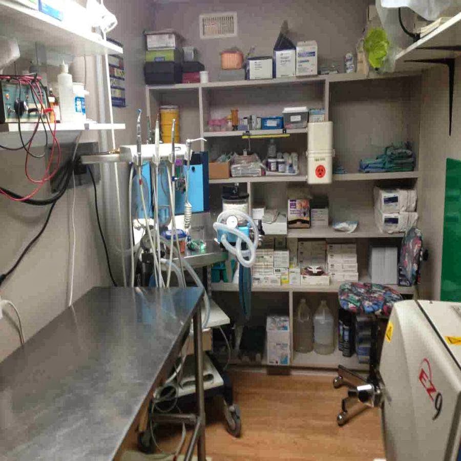Clinique Veterinaire Acton - Saint Theodore d'Acton , Canada
