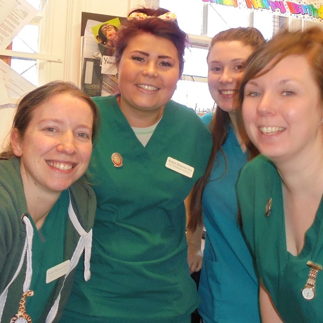 Adams Vets - Liverpool , United Kingdom