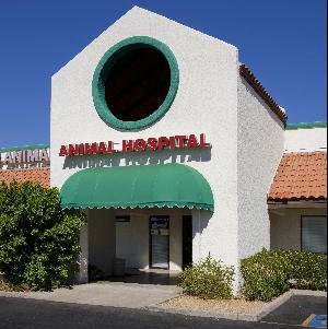 All Creatures Animal Clinic - Phoenix , United States