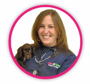 Vets4Pets Evesham - Evesham , United Kingdom