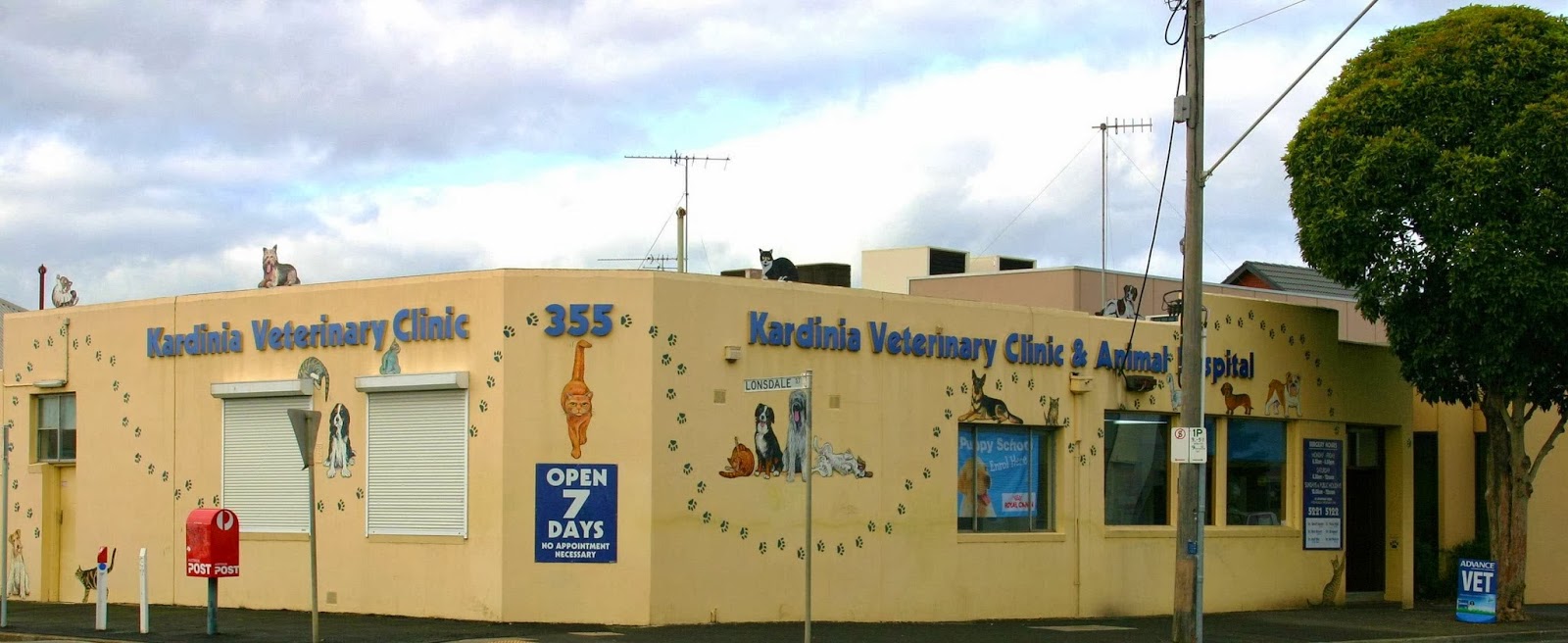 Kardinia Veterinary Clinic - Geelong , Australia