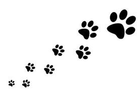 At Home Animal Clinic - Stillwater , United States