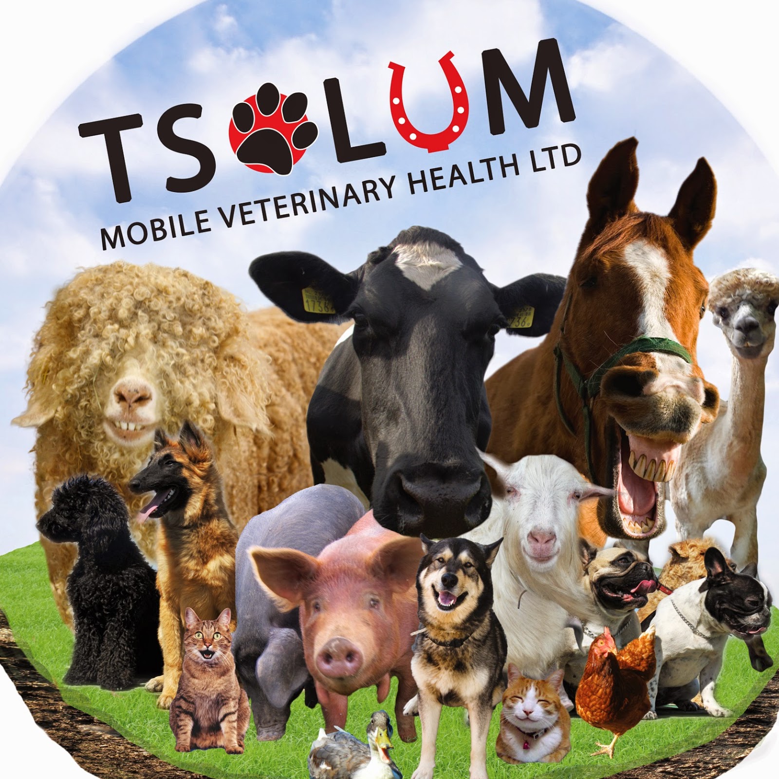 Tsolum Mobile Veterinary Health - Merville , Canada