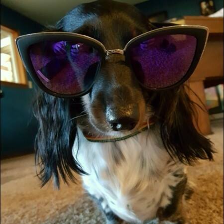Beavercreek Animal Clinic - Beavercreek , United States