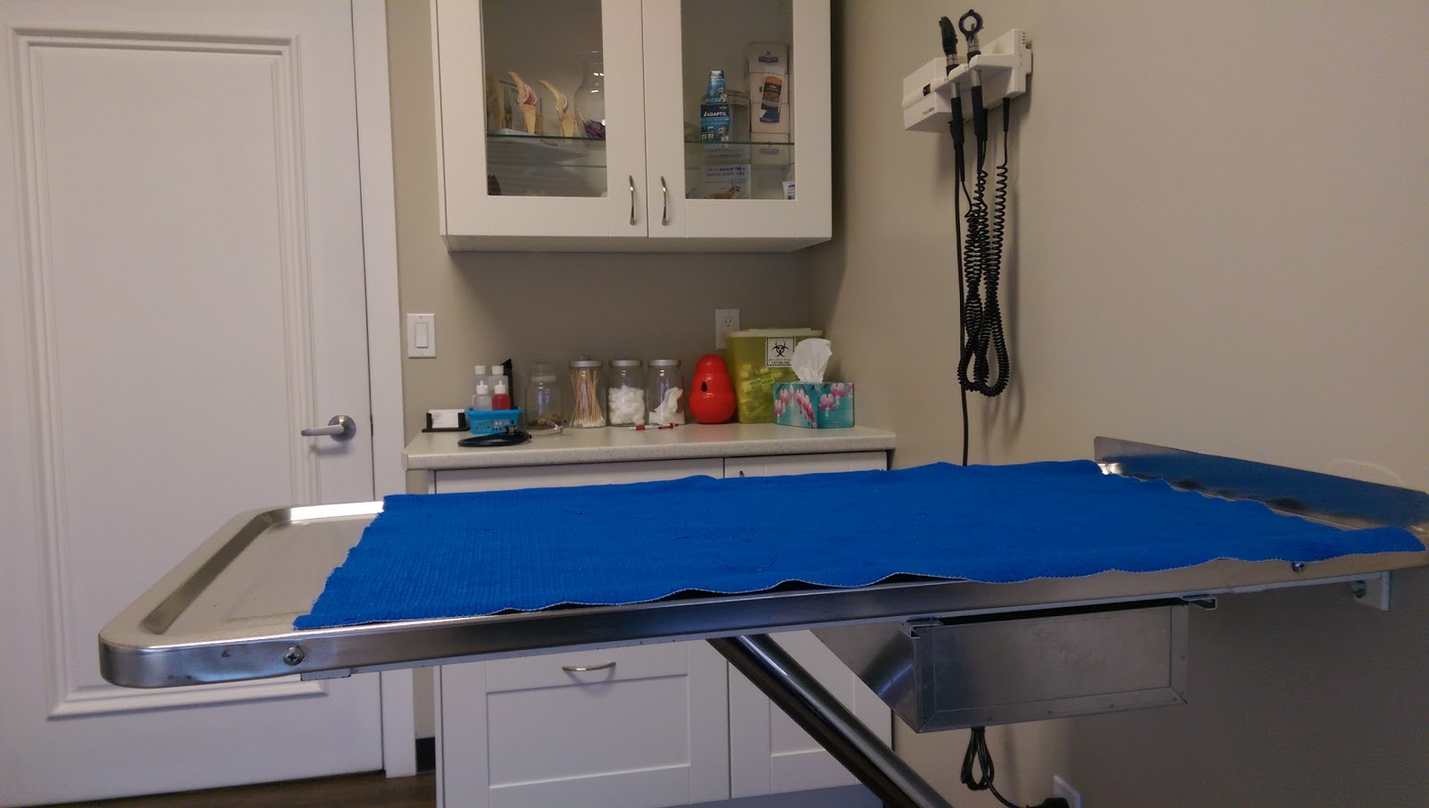 Oriole Road Animal Hospital - Kamloops , Canada
