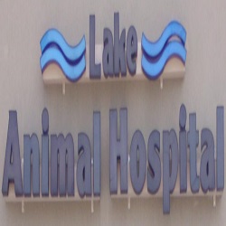 Lake Animal Hospital - Metairie , United States