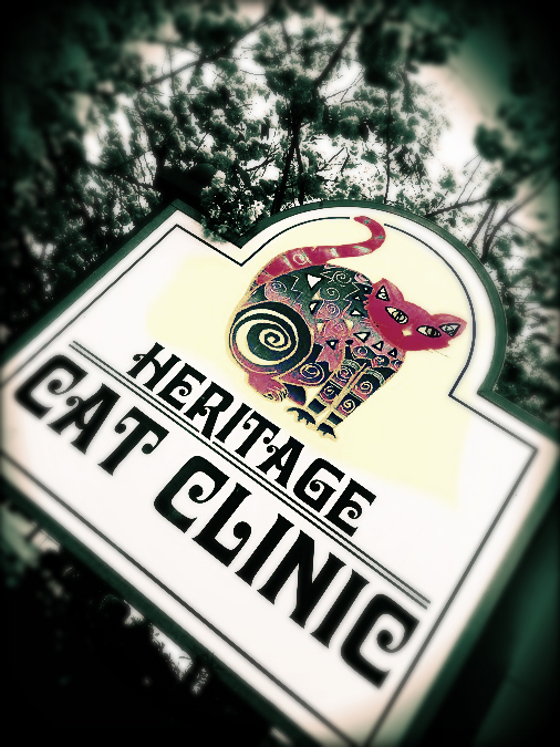 Heritage Cat Clinic - Victoria , Canada