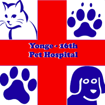 Yonge 16Th Animal Hospital - Richmond Hill , Canada