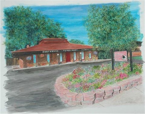Beechwood Veterinary Clinic - Racine , United States