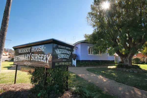 Herriot House Veterinary Surgery - Toowoomba City , Australia